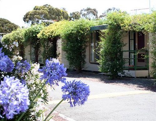 West City Motel Ardeer Buitenkant foto
