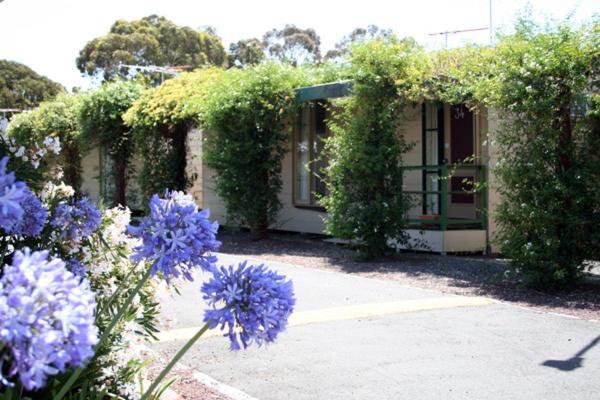 West City Motel Ardeer Buitenkant foto